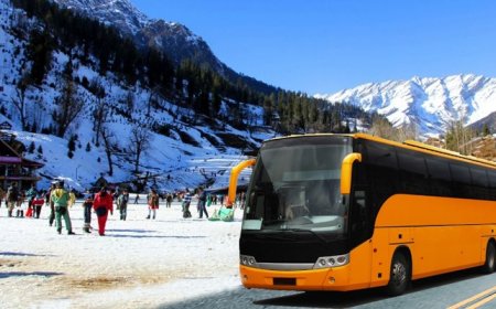 Stress-Free Manali: Delhi Volvo Package Waits
