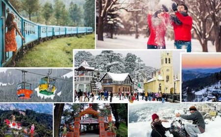 Shimla Manali Tour Package from Delhi: You’re Perfect Hill Escape