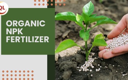 Benefits of Using Organic NPK Fertilizer for Long-Term Soil Health