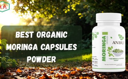 Best Organic Moringa Capsules: Your Daily Wellness Buddy