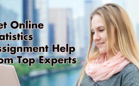Get Online Statistics Assignment Help from Top Experts