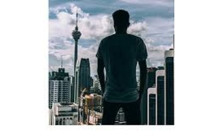 How to Safely Remove Hazardous Trees: Insights from Benj Geerling’s Expert Team