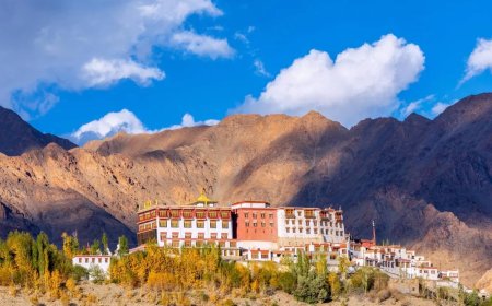 Phyang Monastery: A Hidden Gem in the Heart of Ladakh