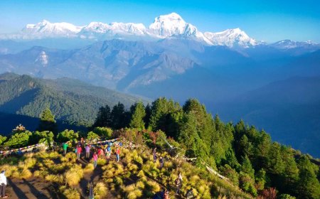 Soaring Views And Guaranteed Highs From Ghorepani Poon Hill