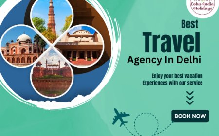 Lotus India Holidays — Your Trusted Partner for the Best Travel Agency in Delhi