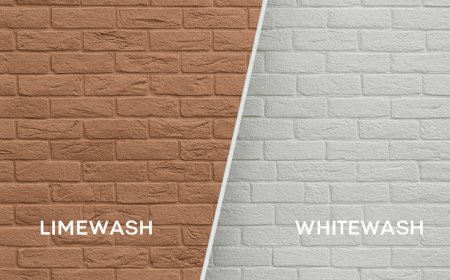 House Painting Miami: How to Choose the Right Colors for a Tropical Look