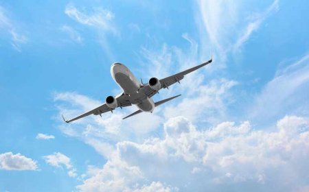 Vision-Impaired Travel Help at American Airlines Phone Phoenix