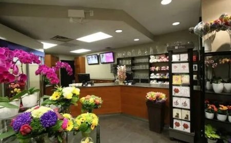 Best Places to Buy Fresh Flowers Toronto Locals Love