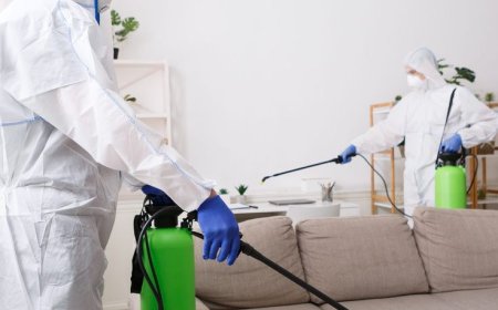 Pest Control Services |  Protect Your Home and Health with Expert Help