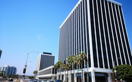 JetBlue Guyana Office – Travel Assistance Made Easy