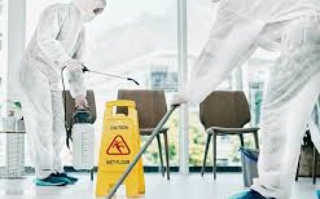 Biohazard Cleanup Companies: Expert Services You Can Trust
