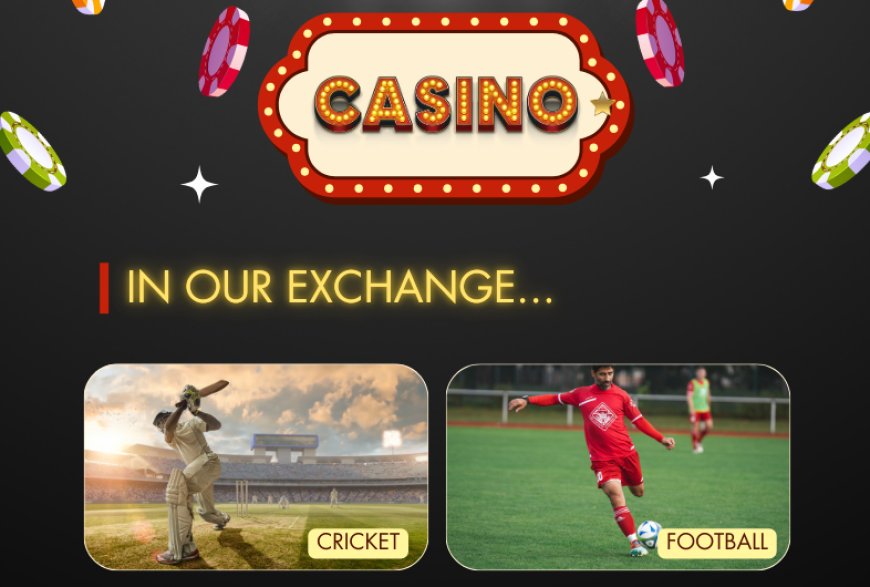 How to Complete 11xplay Sign Up – A Step-by-Step Guide for New Players