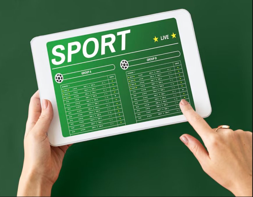 White Label Sportsbook Solution for Startups and Entrepreneurs