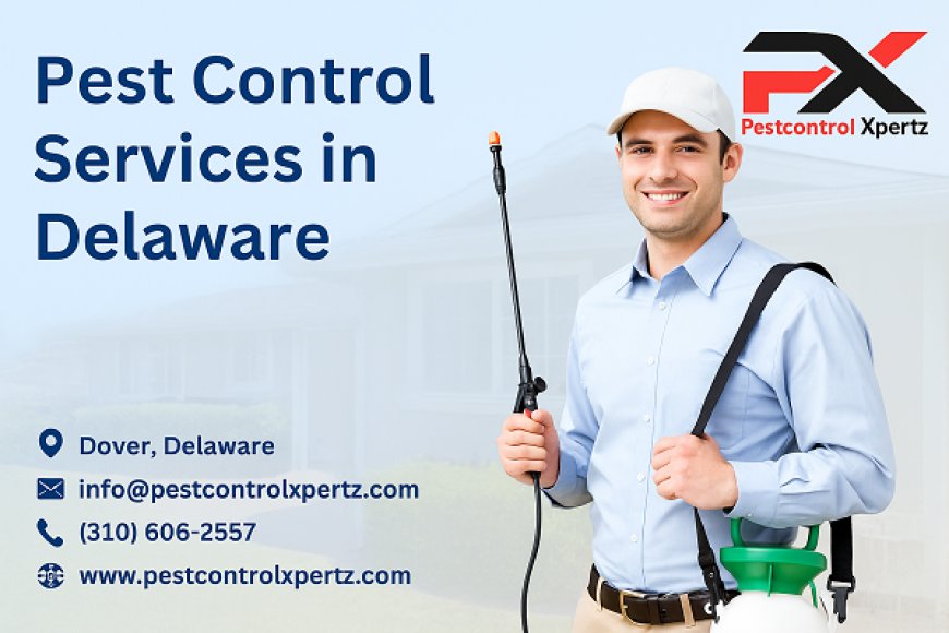Emergency Pest Control in Glasgow: Fast Help When You Need It Most