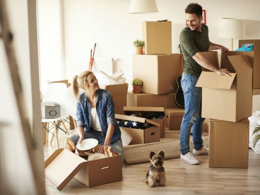6 Tips for a Smooth Moving Day with DC Movers