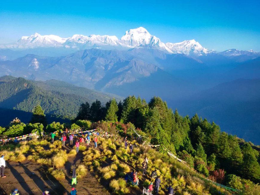 Soaring Views And Guaranteed Highs From Ghorepani Poon Hill