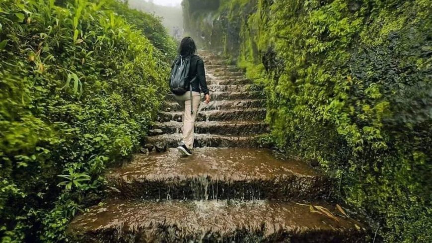 Explore the Majestic Beauty of Visapur Fort in Maharashtra