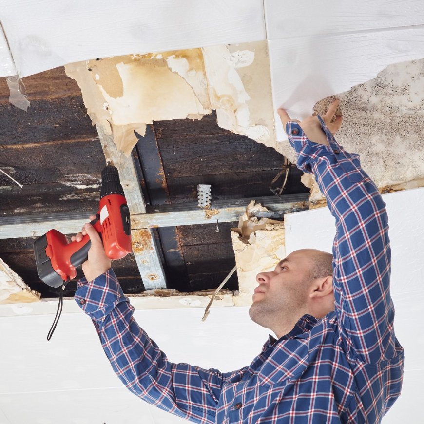 Water Damage Restoration Protecting Your Home from Water Loss