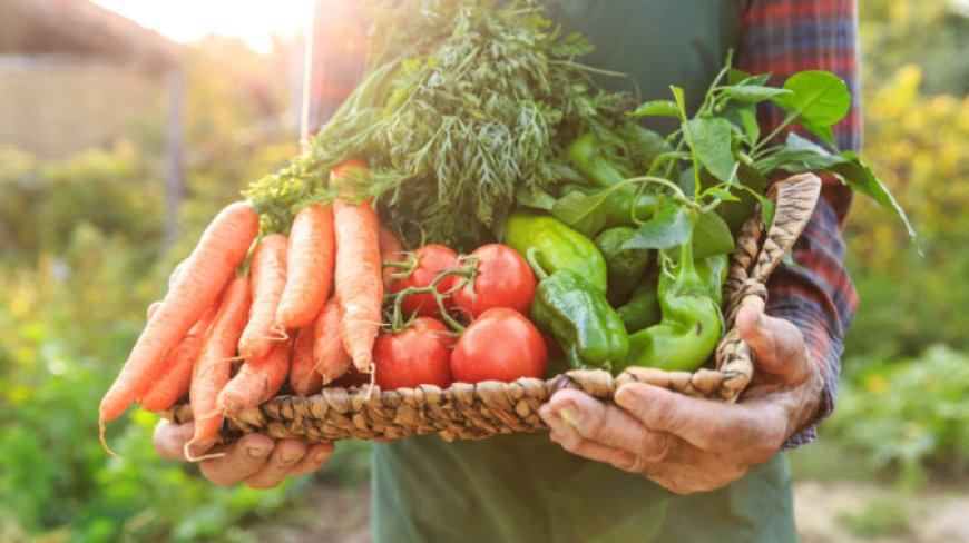 Why You Should Shop at a Food Fresh Market