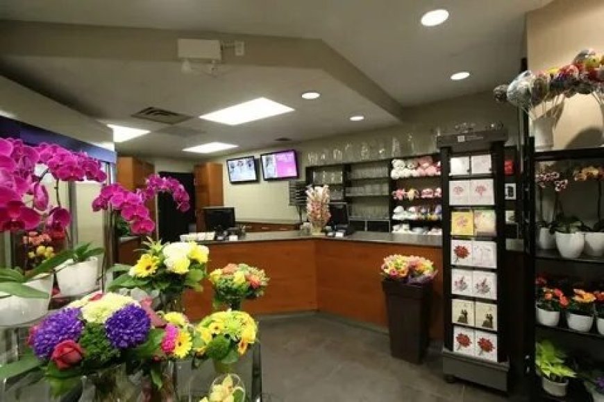 Best Places to Buy Fresh Flowers Toronto Locals Love