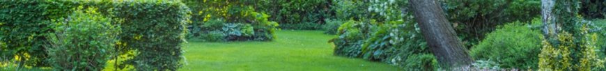 Dependable Lawn Mowing in Pagewood with Neat Clean and Hassle Free Lawn Services