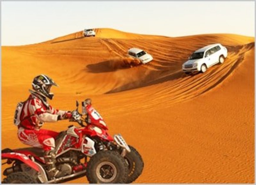 Discover Morning Desert Safari Dubai