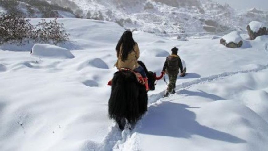 Discover the Beauty and Tranquility of Changu Lake