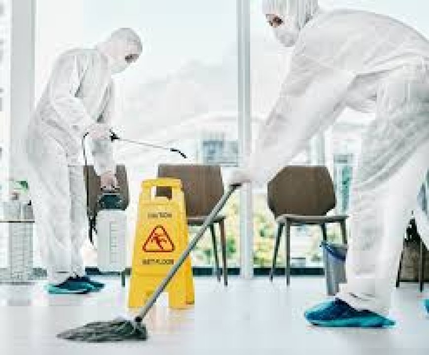 Biohazard Cleanup Companies: Expert Services You Can Trust