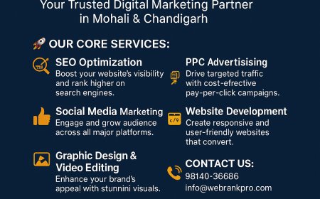 WebRank Pro: Elevate Your Digital Presence