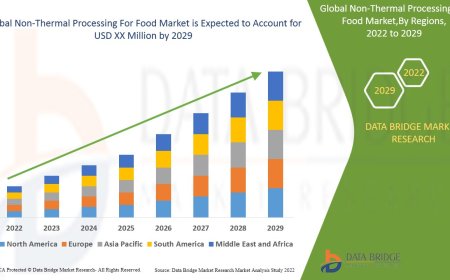 Non-Thermal Processing For Food Market Industry Analysis and Forecast By 2029