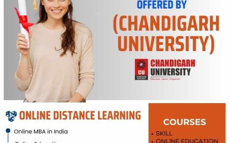 What Makes an Online Master of Business Administration the Best Option for Professionals in the Workforce?