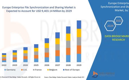 Europe Enterprise File Synchronization and Sharing Market Opportunities and Forecast By 2029