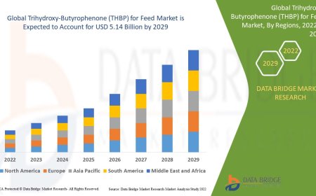 Global Trihydroxy-Butyrophenone (THBP) for Feed Market Revenue Forecast: Growth, Share, Value, and Trends