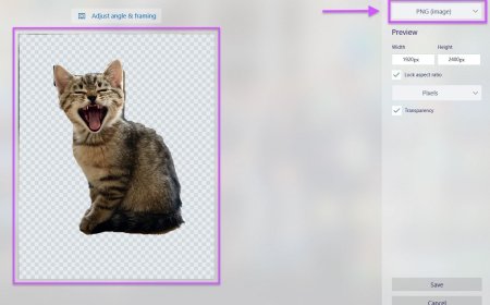 How to Use Transparent Background in Paint: A Complete Guide