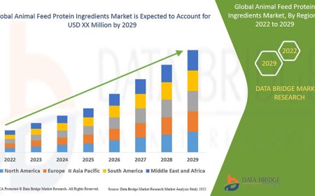 Animal Feed Protein Ingredients Market Value with Status and Analysis 2029
