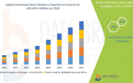 Intracranial Stents Market Sees Significant Growth with Advances in Neurovascular Therapies