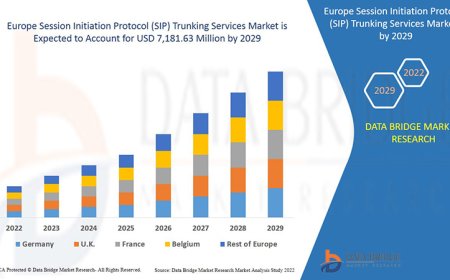 Europe Session Initiation Protocol (SIP) Trunking Services Market Research Report: Growth, Share, Value, Size, and Analysis