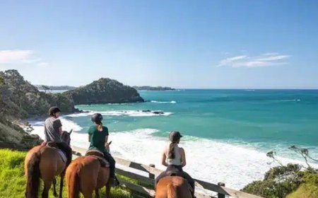 Unlock Your Dream Adventure with New Zealand Travel Packages and Tours of New Zealand