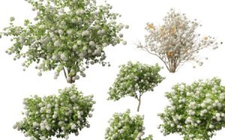 Twinmotion Tree 3D Models – Free Download Today