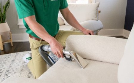 Eco-Friendly Upholstery Cleaning Service New York: Cleaner Home, Greener City