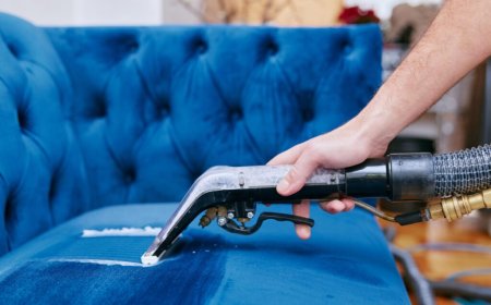 The Ultimate Guide to Sofa Cleaning Brooklyn Residents Can Trust