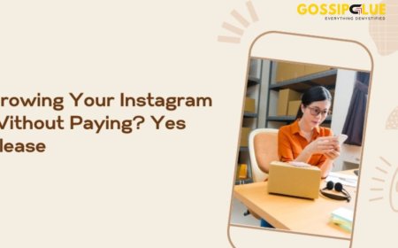 Are Reels Still the Best Way to Gain Instagram Followers? A Fresh Look