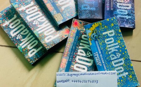 HOW I TAKE MY MAGIC MUSHROOM CHOCOLATE BAR