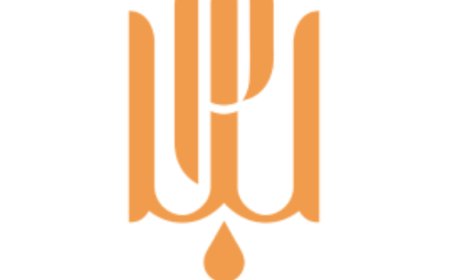 What Makes Integrated Clinics Stand Out from Traditional Practices?