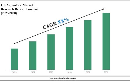 Strategic Insights on UK Agrivoltaic Market: Forecast, Size & Trends