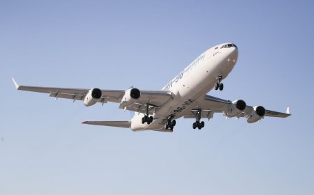 What to Expect When You Call Southwest or Frontier Airlines