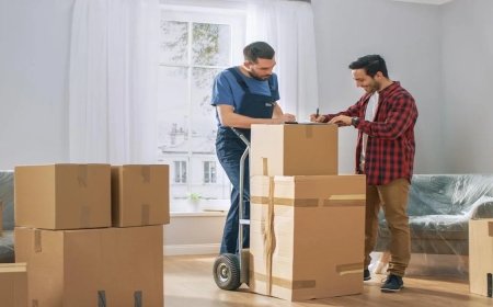 Movers and Packers – Professional Moving Services You Can Trust