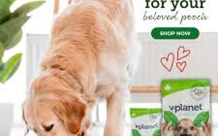 Best Dry dog food for skin allergies and yeast infections
