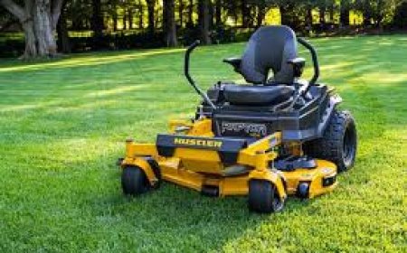 Comparing Brands of Lawn Mowers for Sale in Louisiana: Which One Suits You?