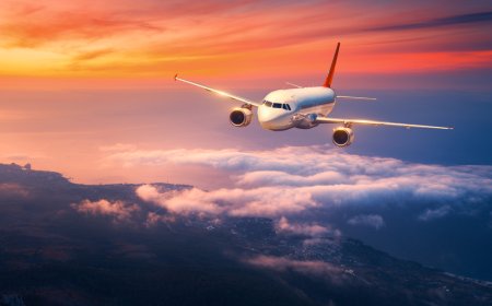 How to Fix Booking Errors with Breeze or Southwest Through a Live Agent